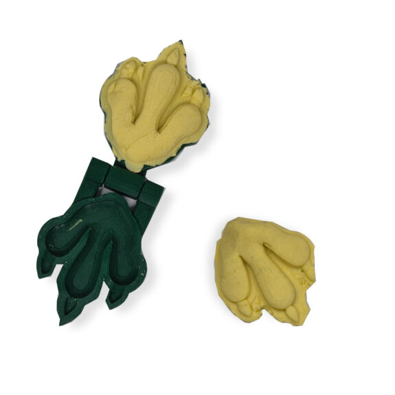 Dinosauruse jalajälje vorm